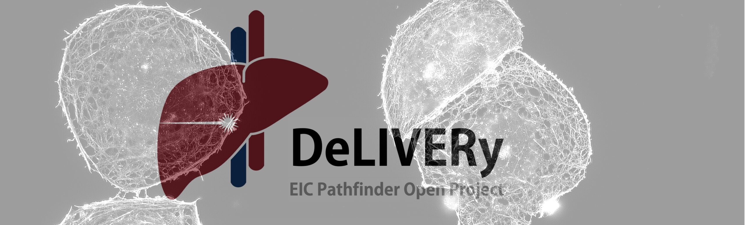 EIC Pathfinder Open Project DeLIVERy
